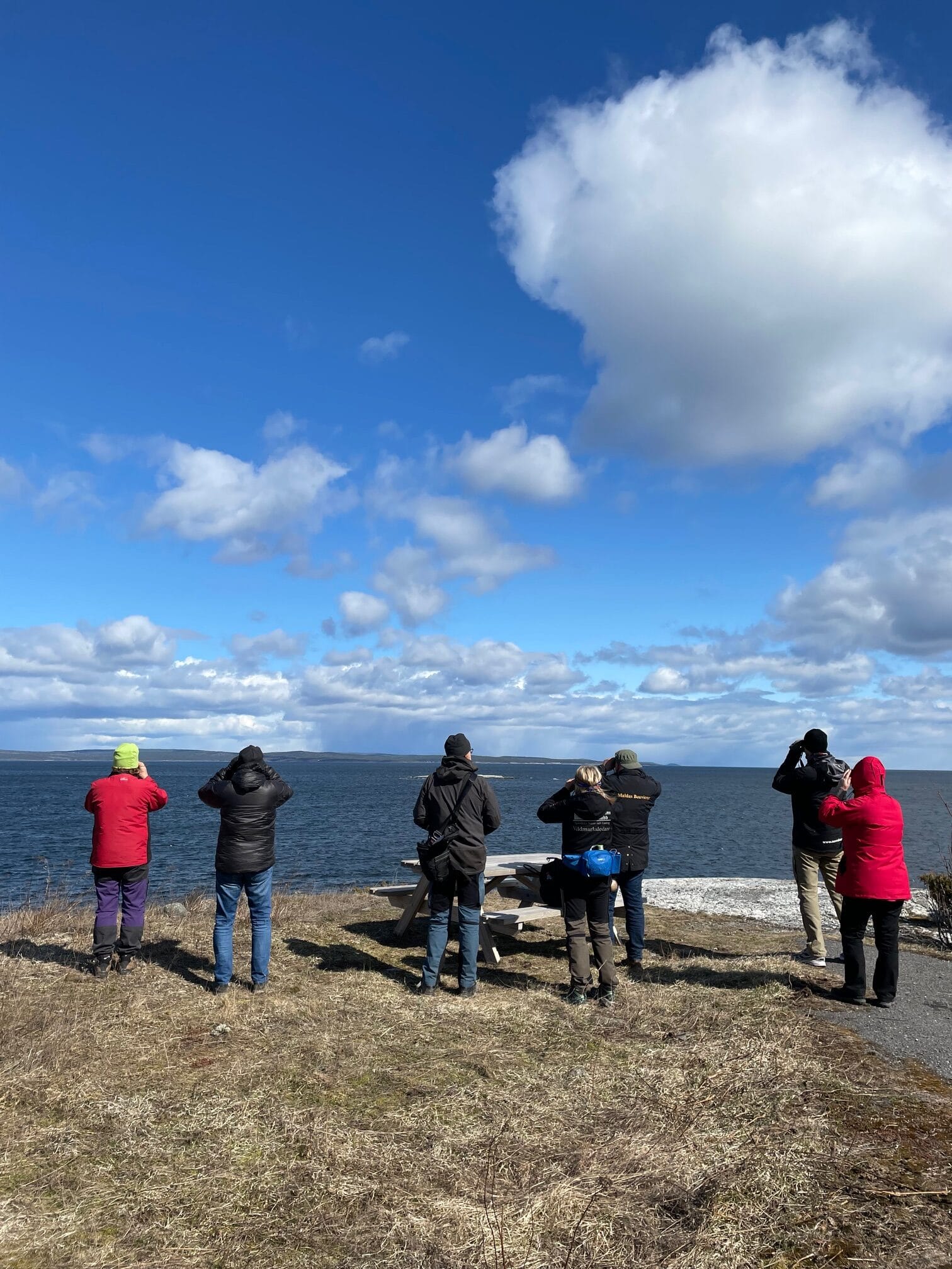 Personer i styrelsen som är ute på studiebesök.